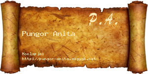 Pungor Anita névjegykártya